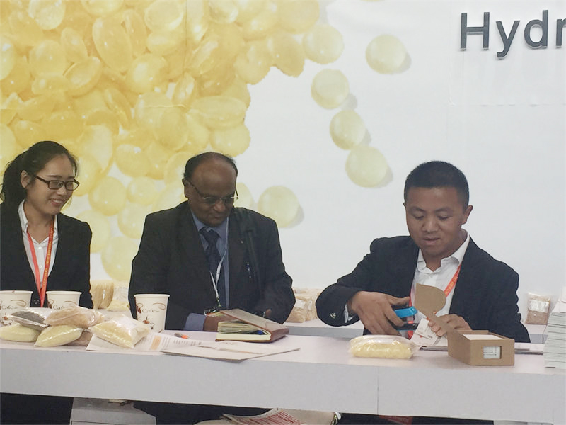 第二十四届中国国际胶黏剂及密封剂展会延期举办通知